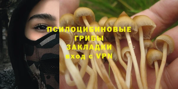 прущая мука Белоозёрский