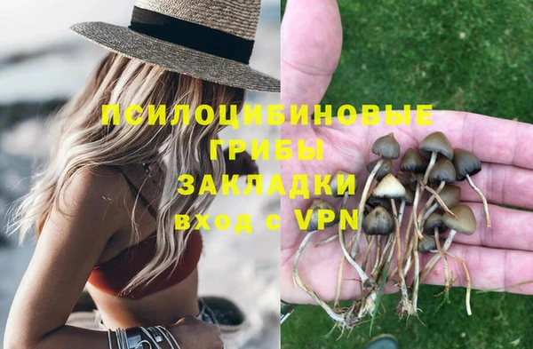 a pvp Бородино